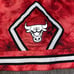 Mitchell & Ness NBA Chicago Bulls Galaxy NBA Swingman Jersey Shorts Mens S NEW
