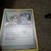 12x Stamped Dragon Frontiers Reverse Holos~Conditions vary~see pics/description