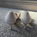 Pelle Moda Kenny Suede Heels with Scallop Trim NEW size 10
