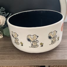 Halloween Snoppy Bowl