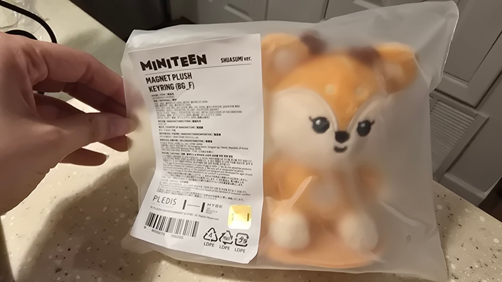 Unboxing SEVENTEEN Magnet Plush Keyring Characters | TikTok