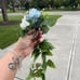 Clip on flowers