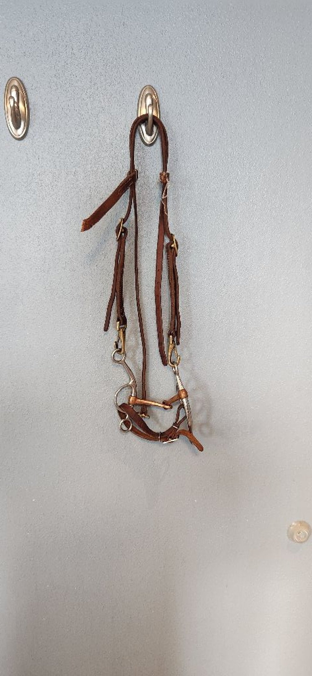 Vintage Western genuine leather horse bridle bit and head stall