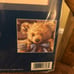 Sunset Honey Bear Cross stitch kit 13693