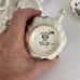 Victoria Bone China England C & E Violet Cup and Saucer #390 White Purple Flower