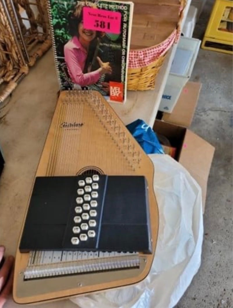Oscar Schmidt Autoharp