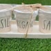 Rae Dunn Planters - Basil Oregano Sage with Tray