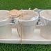 Rae Dunn Planters - Basil Oregano Sage with Tray