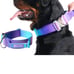 Tactical Dog Collar Heavy Duty, Premium Quality, Thick Durable Medium Sparkpaws