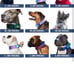 Tactical Dog Collar Heavy Duty, Premium Quality, Thick Durable Medium Sparkpaws