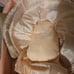 Doll Madame Alexander “Mary Mine” Vintage 19 inch Baby Doll with Tag & Box