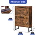 Shoe Cabinet Storage 2-Flip Drawer Bottom Shelf Metal Leg Entryway Sneakers Rack