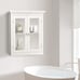20 in. x 24 in. Wooden Wall Cabinet, White