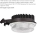 LED barn light