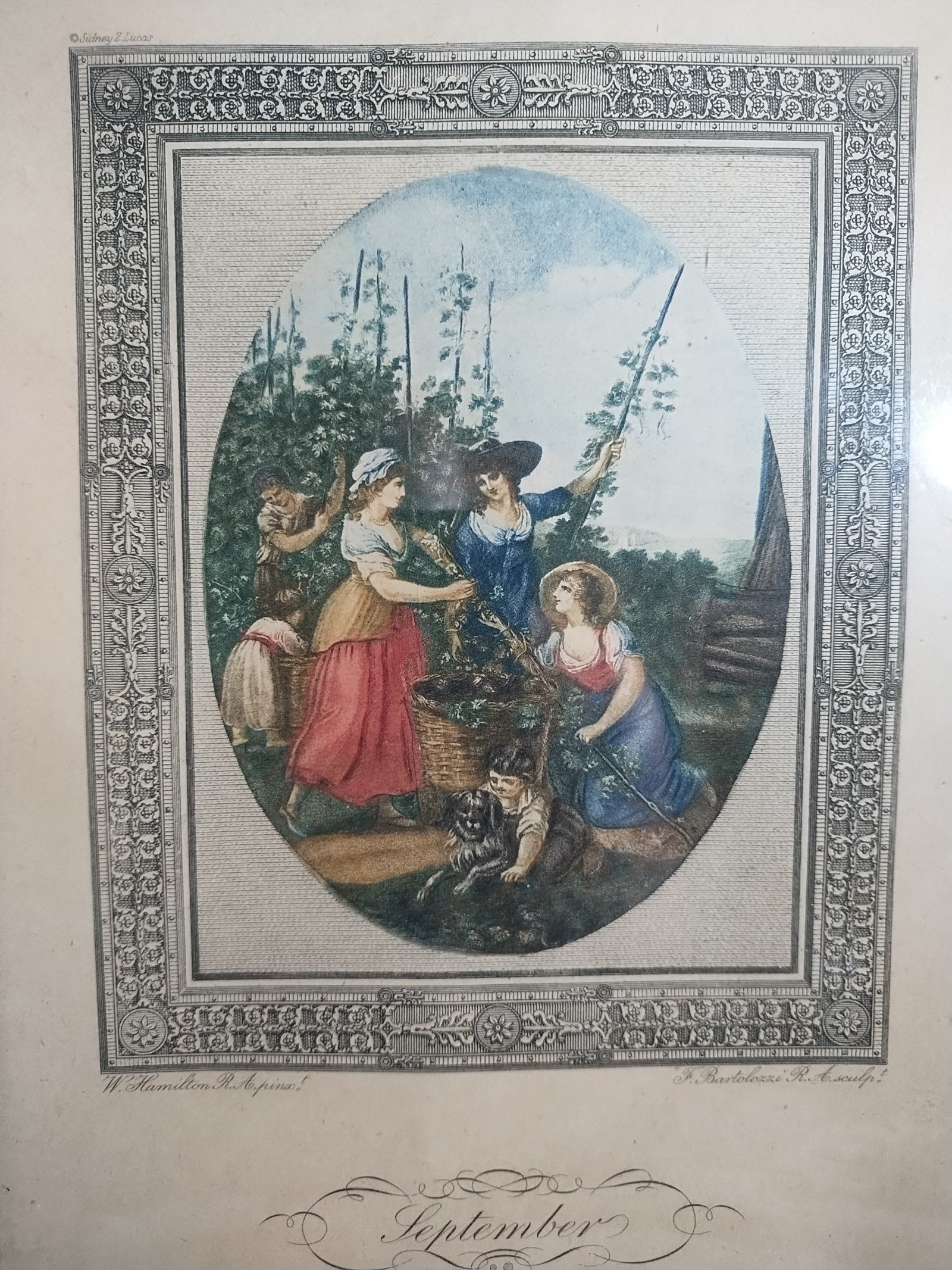 Antique lithograph wall Art