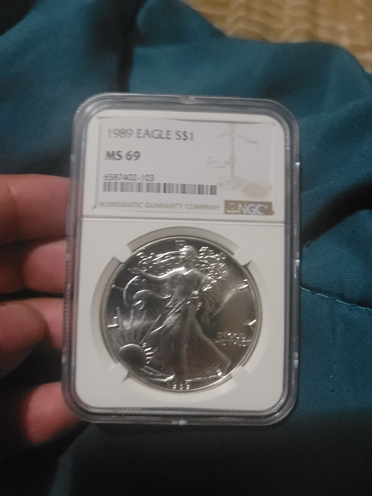 NGC 1989 ms 69 American silver eagle