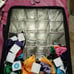 Scentsy tester bag