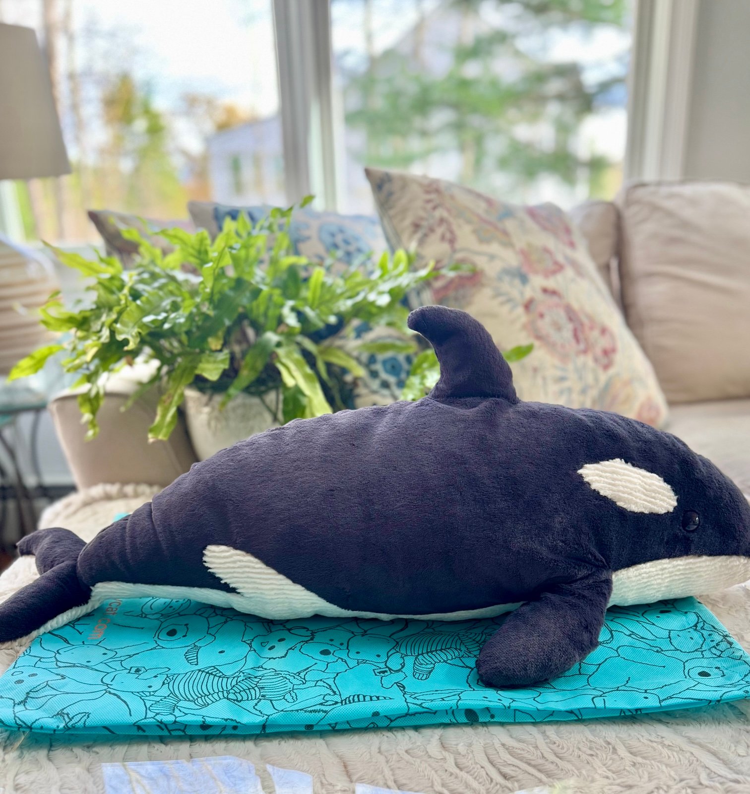 Jellycat Ollivander Orca - Brand New With Tags - Retired & Authentic Design