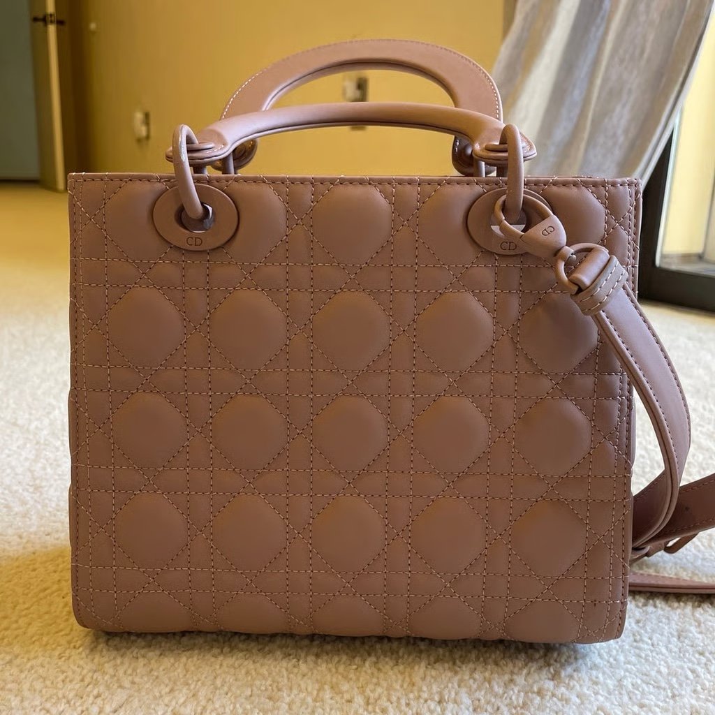 purse light brown/tan ladybags bag