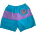 Vintage 80s Converse Magic Johnson Collab L Teal Purple Swim Lined Trunks Shorts