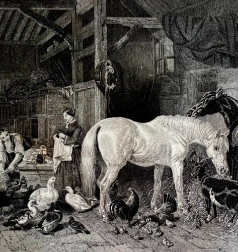 The Homestead Steel Engraving 1859 Victorian Women In Stable With Animals DWY5C