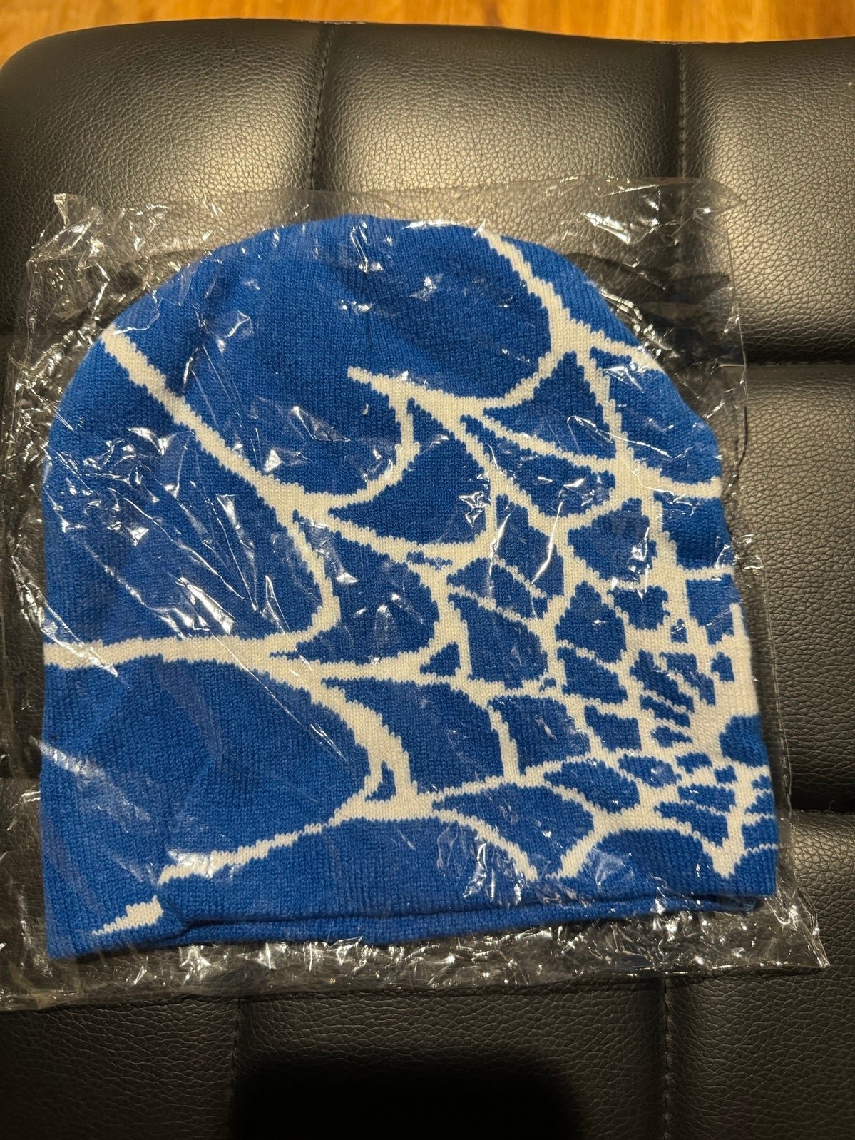 Spider Webb beanie