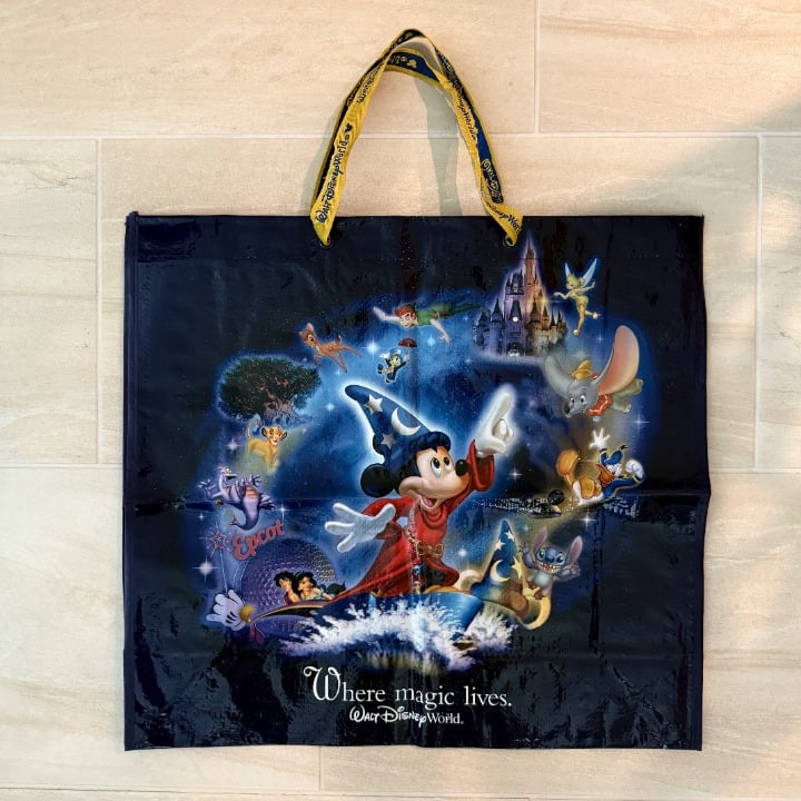 2002 Walt Disney World reusable plastic shopping tote fabric handle bag
