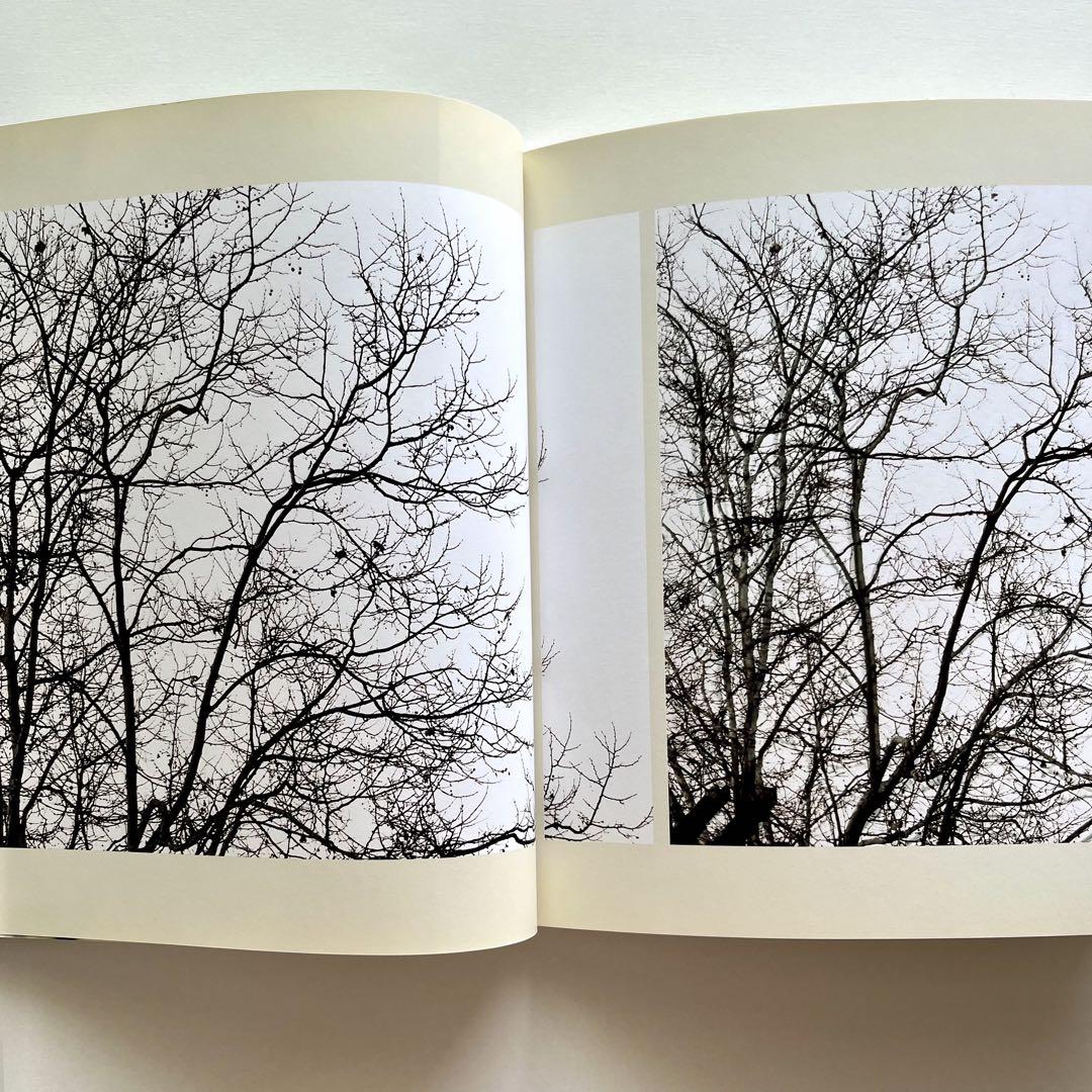 完璧 (bright blind white Barth, Uta red) Tanya | 2002 (02.13