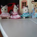 Calico Critters *playsets Not Included*