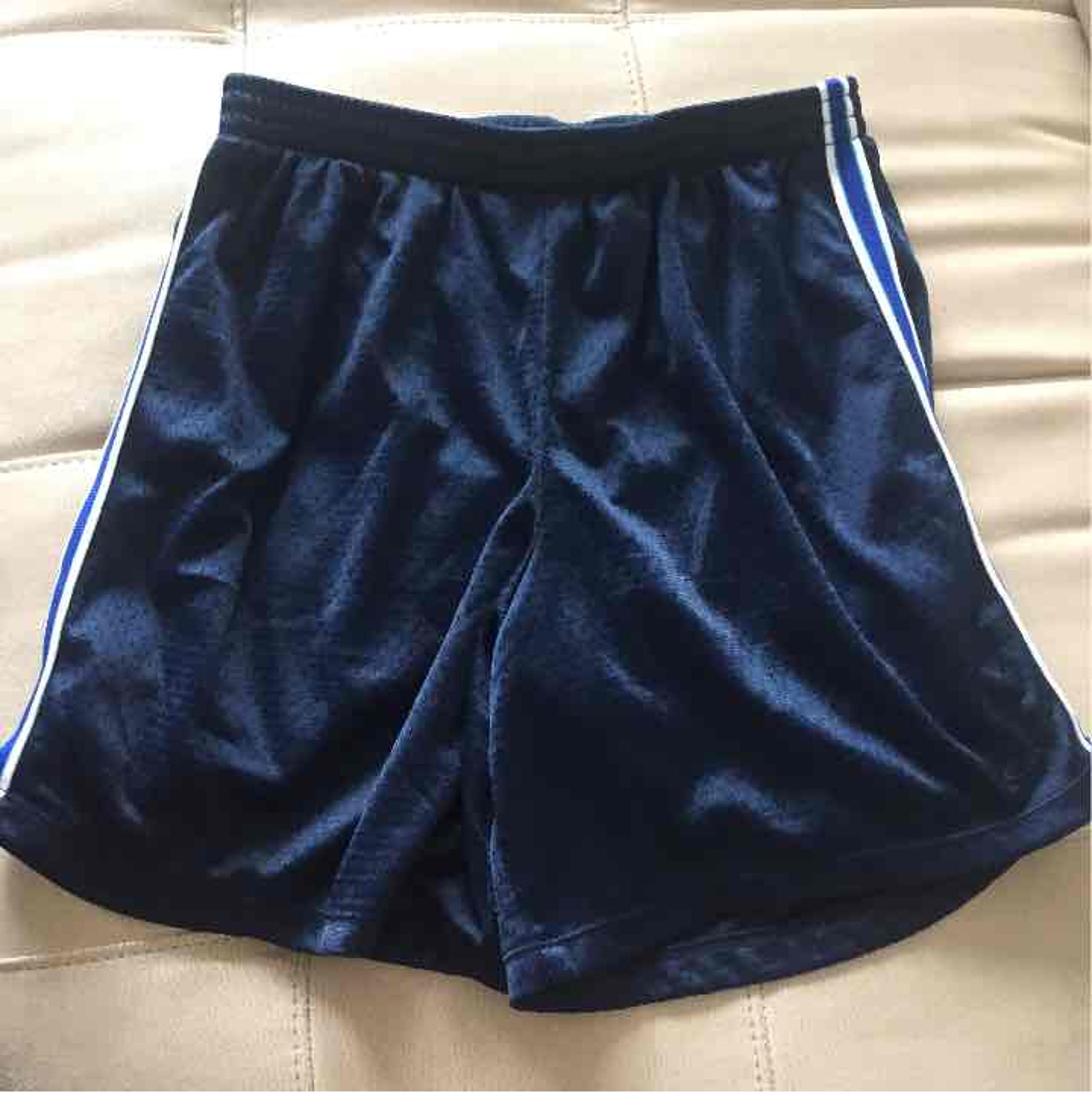 Champion Large Blue Athletic Shorts