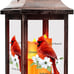 Solar Lanterns, Outdoor Hanging Solar Lights Flameless Candle, Cardinal Memorial