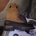 georgia boots brand new 10.5