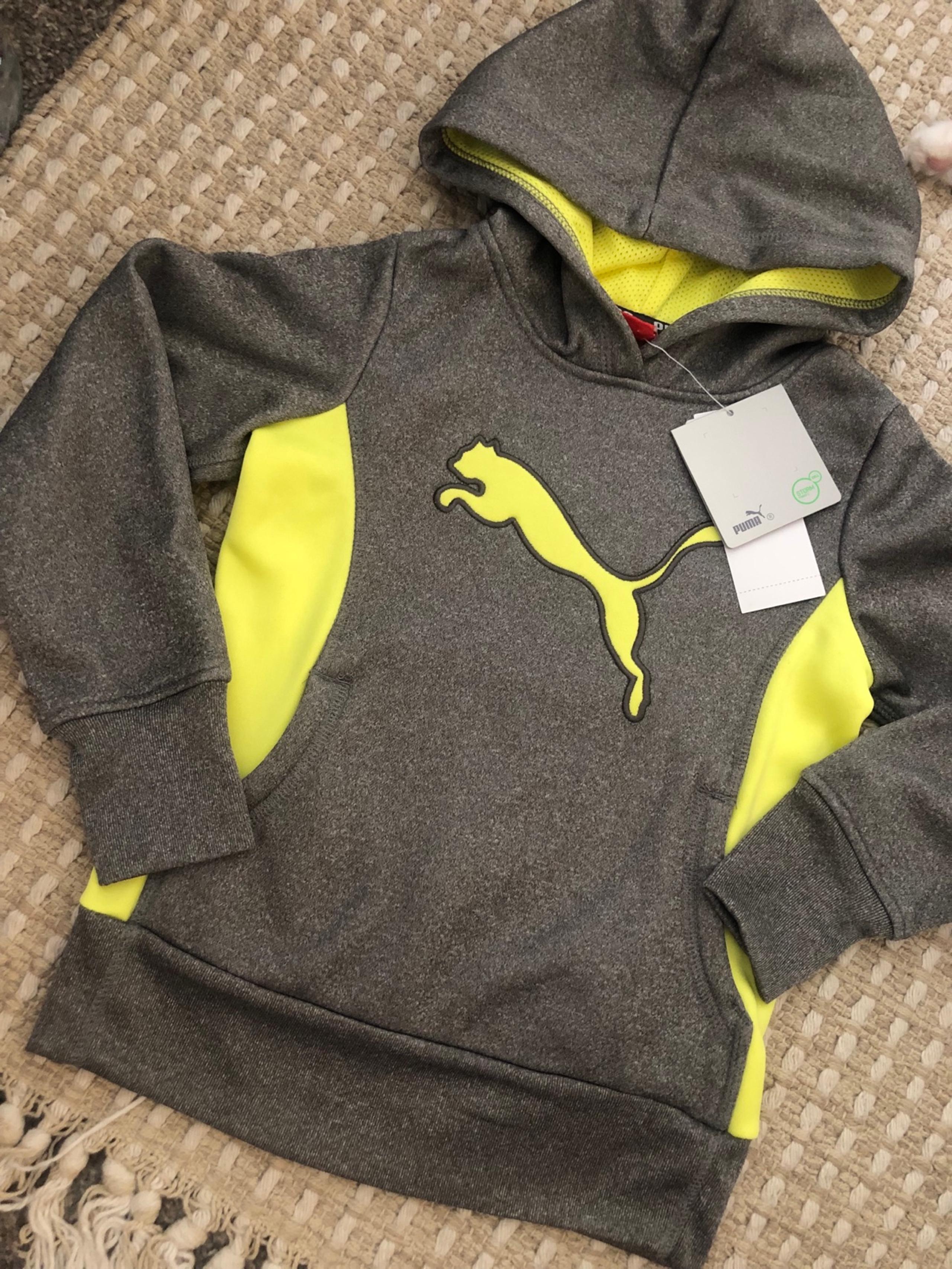 Puma