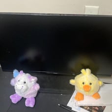 Dell Office Monitor