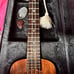 Luna Electric Ukulele