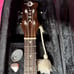 Luna Electric Ukulele
