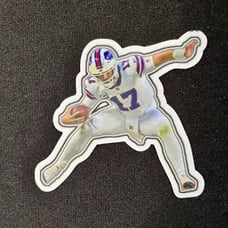 NFL Football stickers (100)