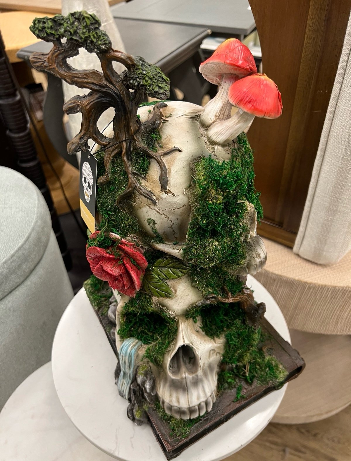 Skeleton mushrooms moss head !