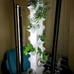 16-plant Aeroponic Produce grow tower, 2 netpots & 17-Gal main reservoir