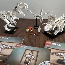 Lego Dinosaur Fossils #21320 w/ Instructions