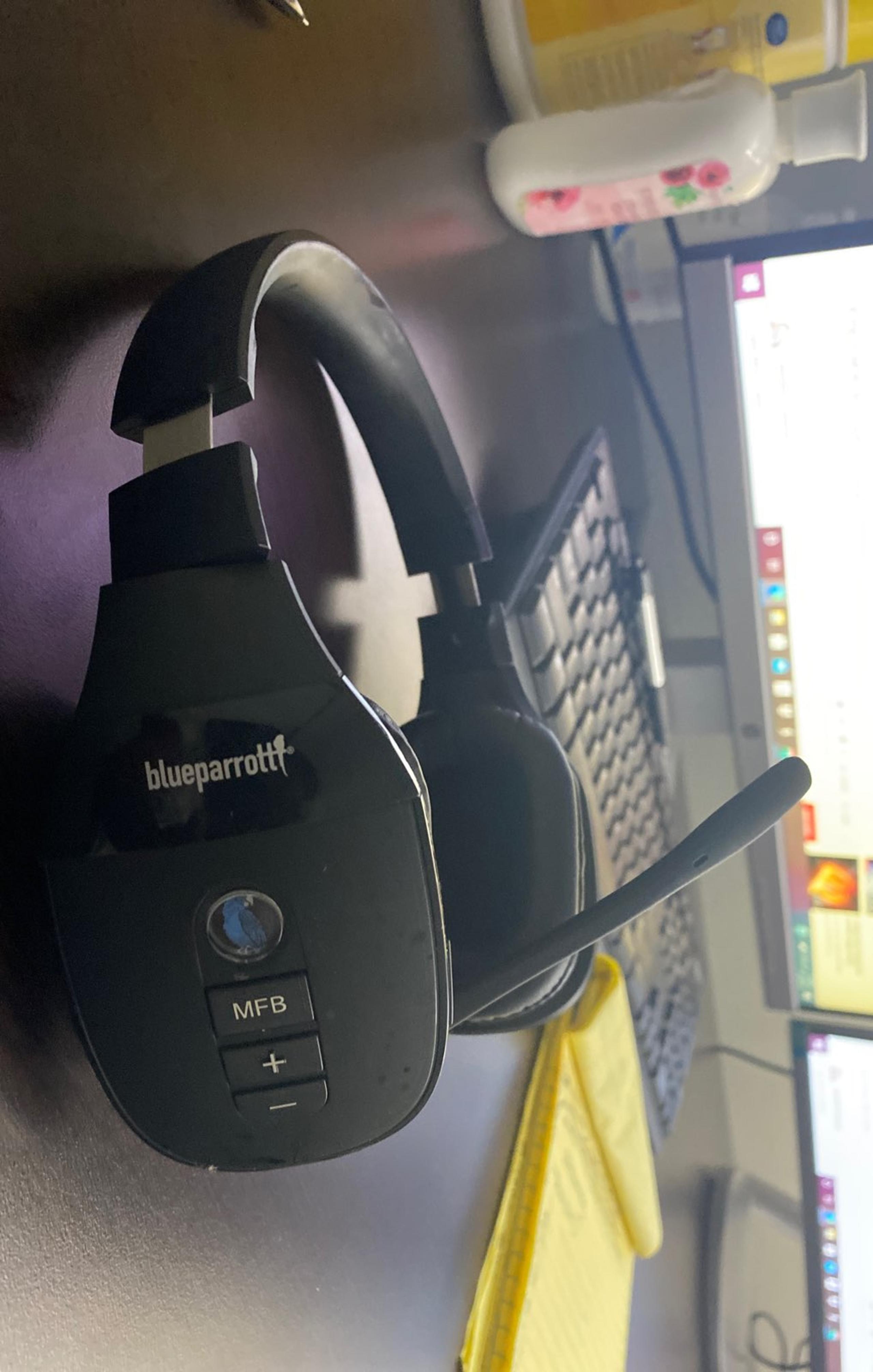 Bluep partrott