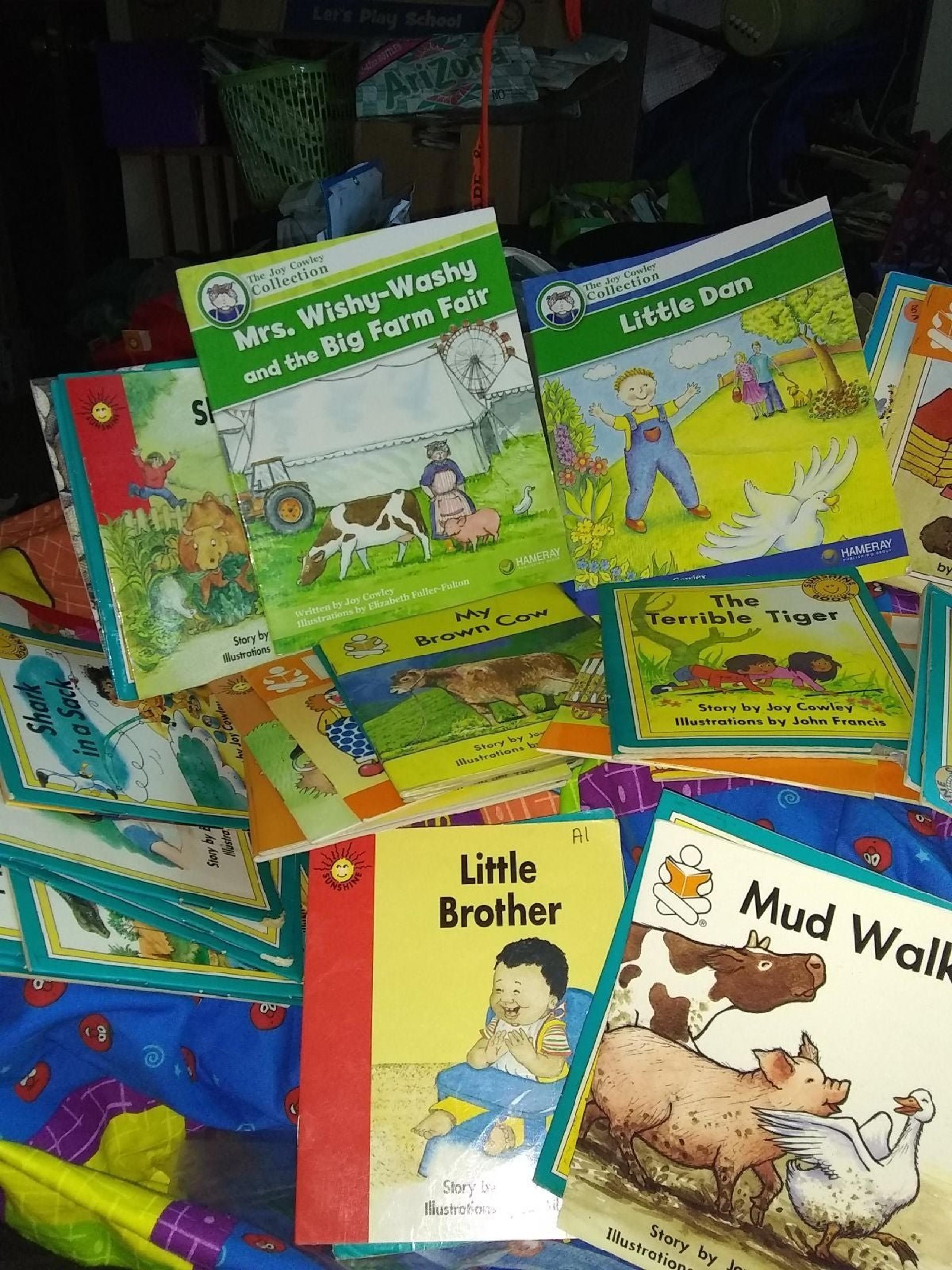 80 Joy Cowley Early Reader Books