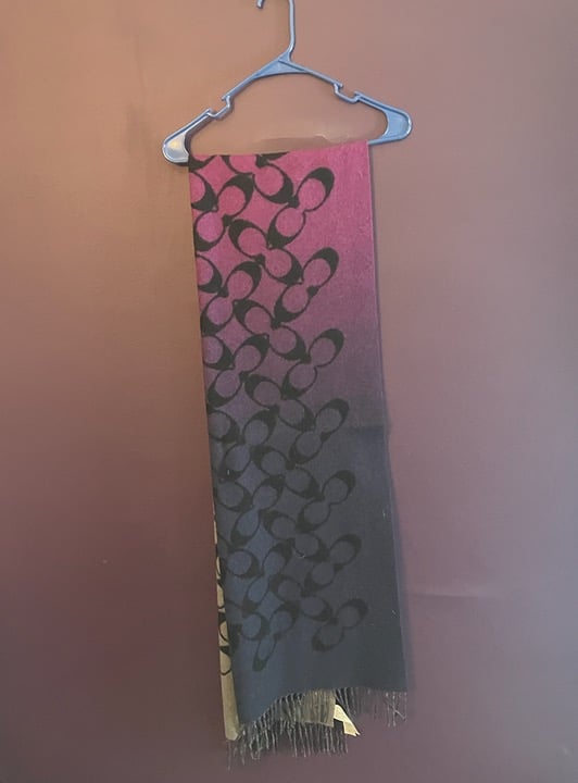 Coach Purple Ombre Scarf