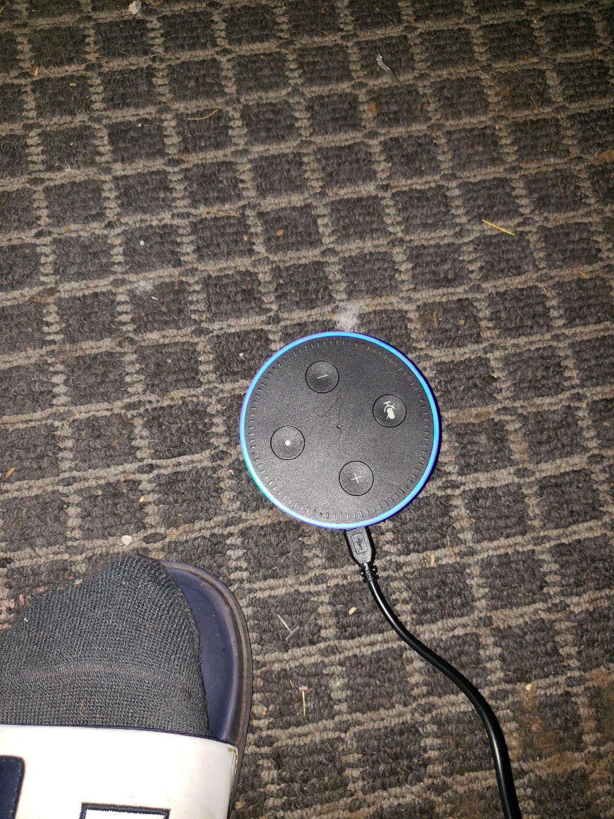Amazon Echo 3rd Gen