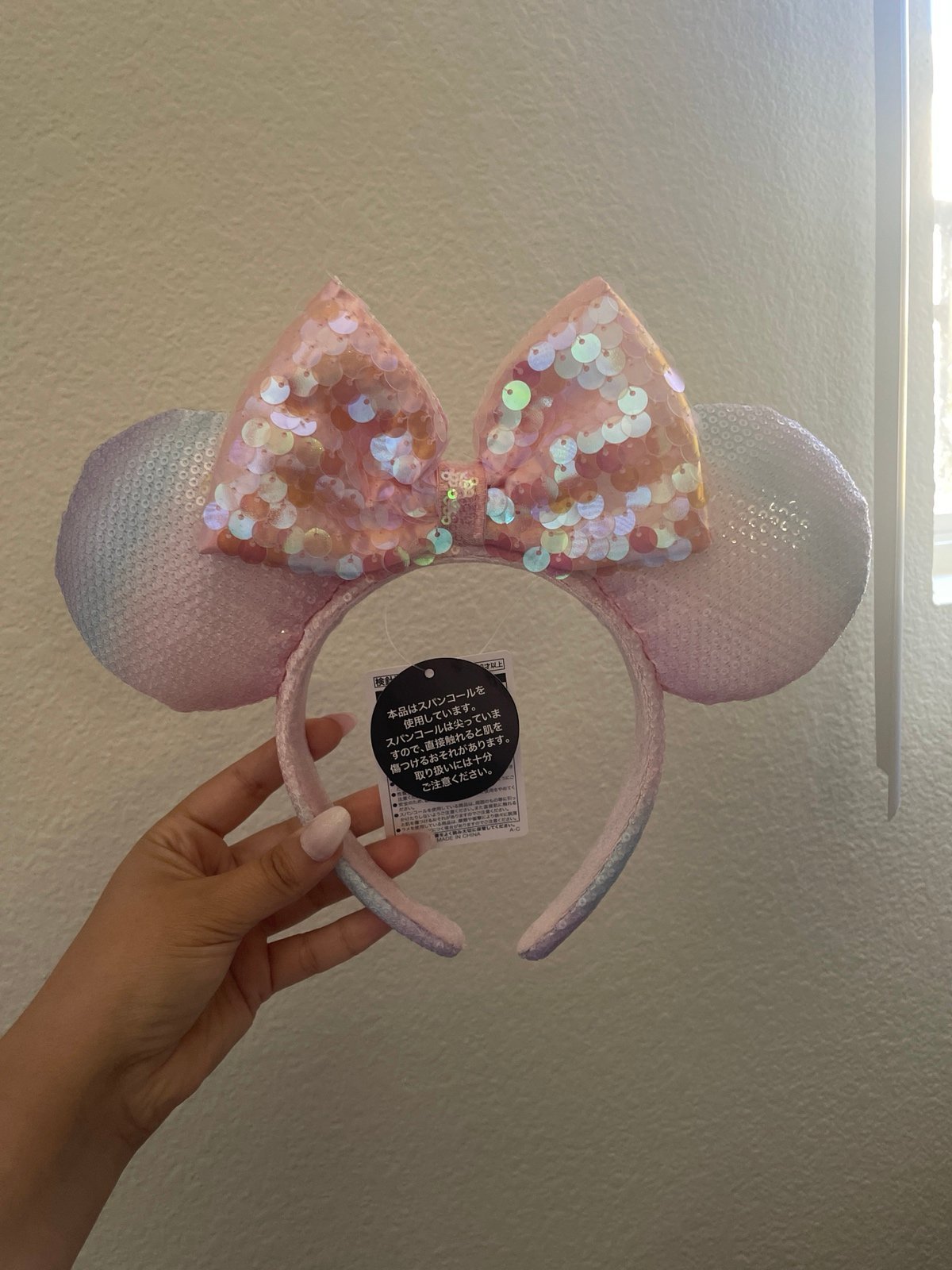 Tokyo Disneyland Ears