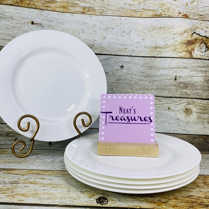 Mikasa LUCERNE WHITE Solid Undecorated Rim Bone China Salad Luncheon Plate Set 5