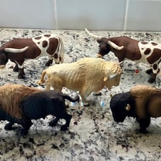 5 Vintage Retired BUFFALO LONG HORN BULL BISON FIGURINES Schleich Safari Ltd