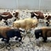 5 Vintage Retired BUFFALO LONG HORN BULL BISON FIGURINES Schleich Safari Ltd