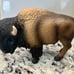 5 Vintage Retired BUFFALO LONG HORN BULL BISON FIGURINES Schleich Safari Ltd
