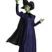 Disguise Womens Deluxe Wicked Elphaba Costume (XL) - New With Tags